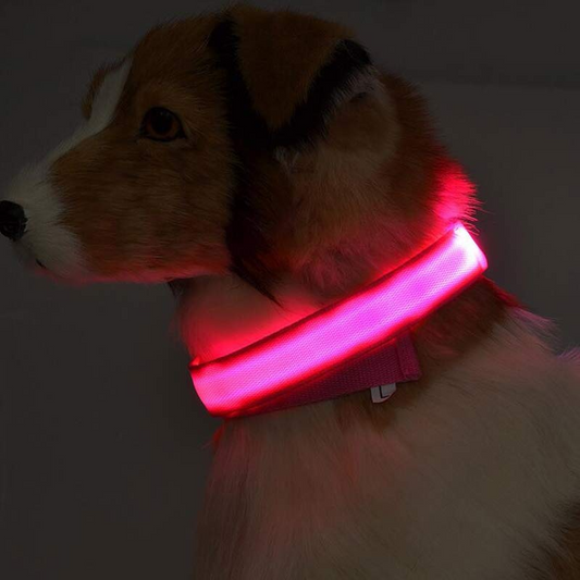USB Rechargeable LED Nylon Pet Collar – Night Safety Glow