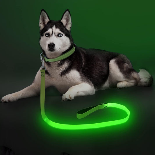 LED Nylon Dog Leash – USB Rechargeable